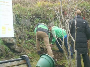 St Ciarans Day Cape Clear
