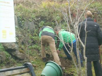 St Ciarans Day Cape Clear