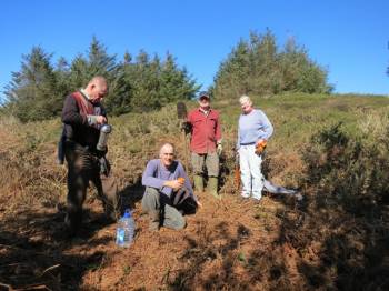 tree planting on Cape Clear Island
