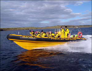 Sea safari around Cape Clear Island